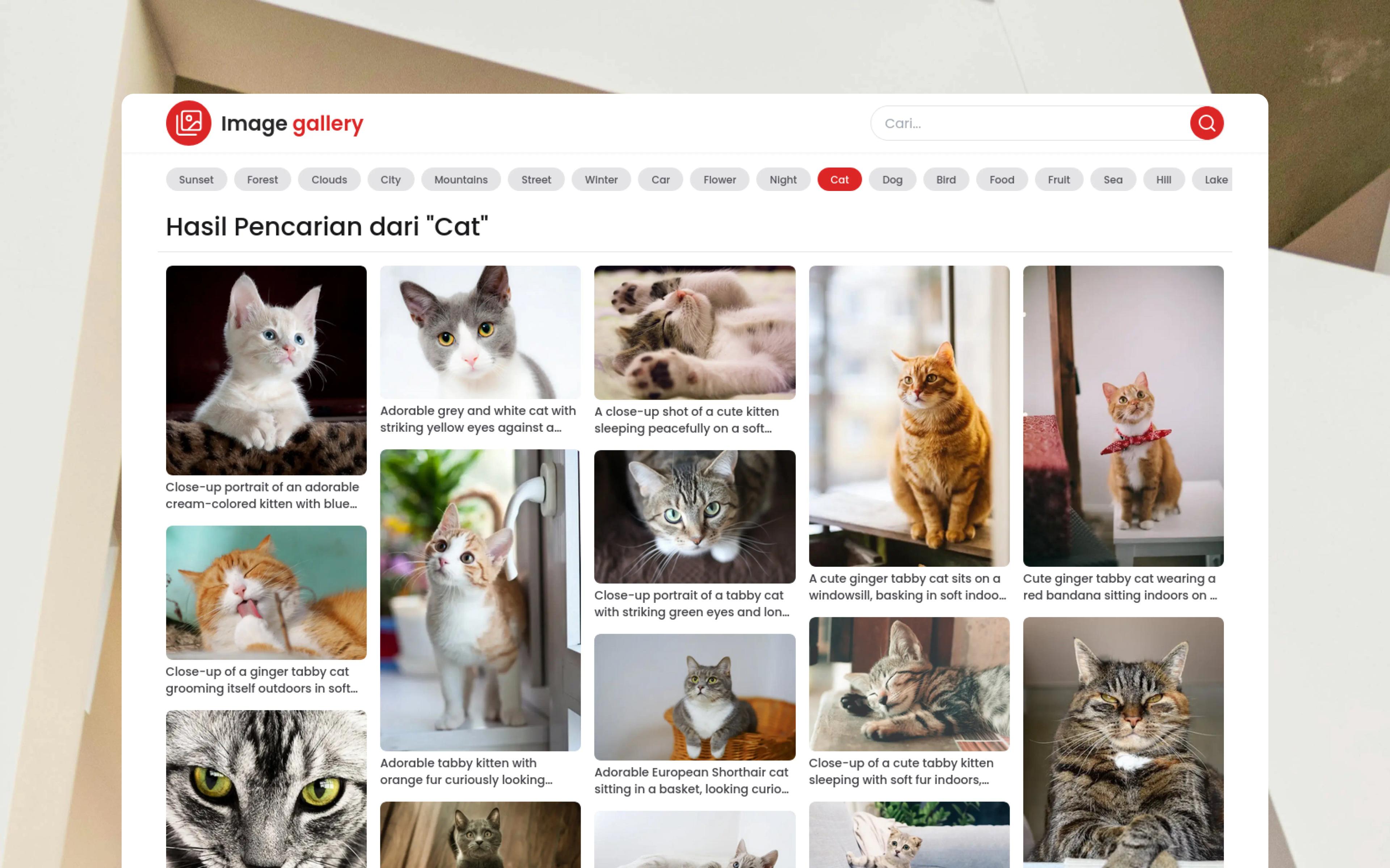 Image Gallery Search