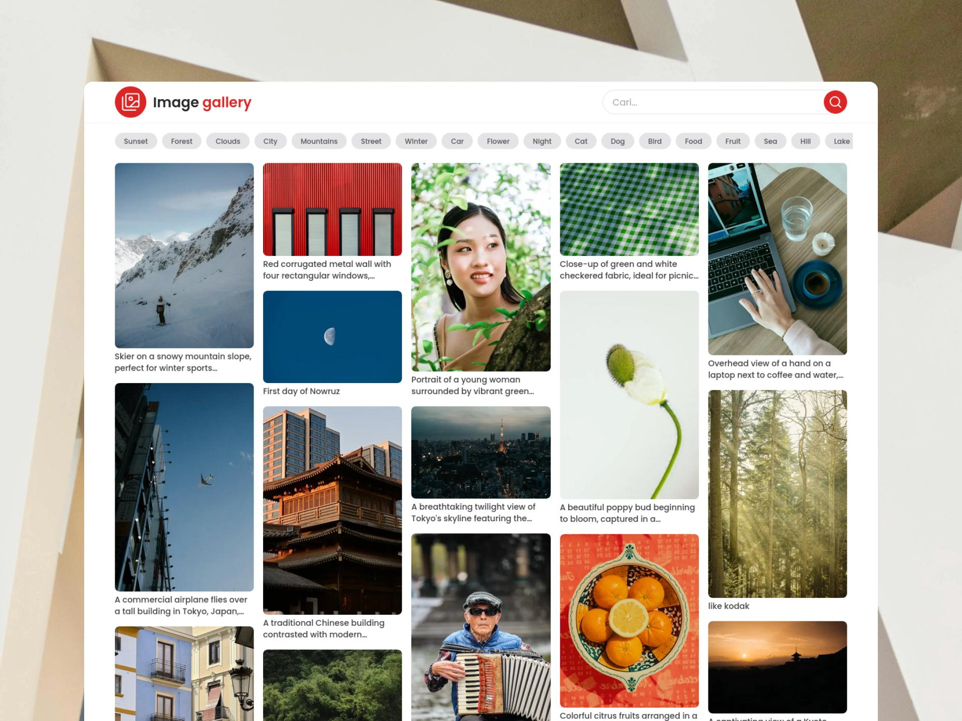 IMAGE GALLERY